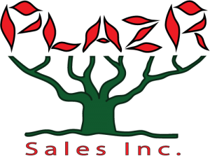 Plazr-Logo