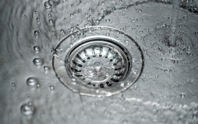 Code, Cost & Capability: What to Look for in Commercial Plumbing Fixtures